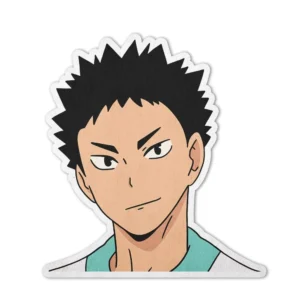 Hajime Iwaizumi Shaped Rug Custom Anime Haikyuu Mats Room Decor Quality Carpets